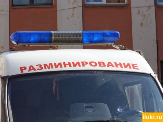 При благоустройстве детского сада в Великих Луках нашли мину - 2019-08-26 15:22:00 - 1