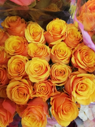 Цветочный павильон в ТЦ «Апельсин» приглашает покупателей. Поставка свежих цветов два раза в неделю! - 2020-05-28 09:20:00 - 1