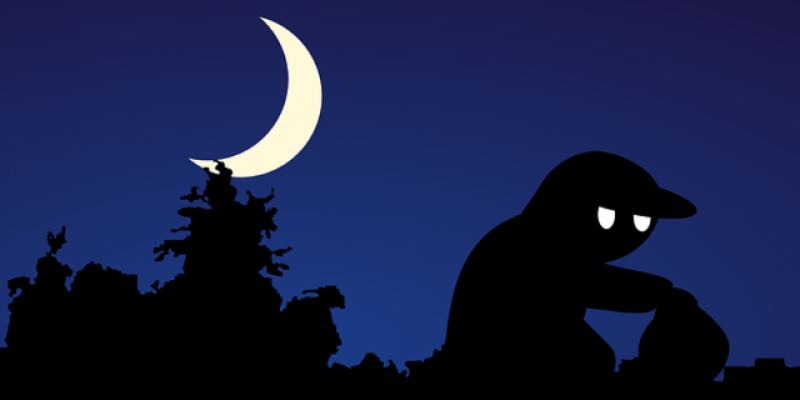 Безработные жительницы Дедовичей обокрали квартиру - 2020-12-10 12:13:00 - 1