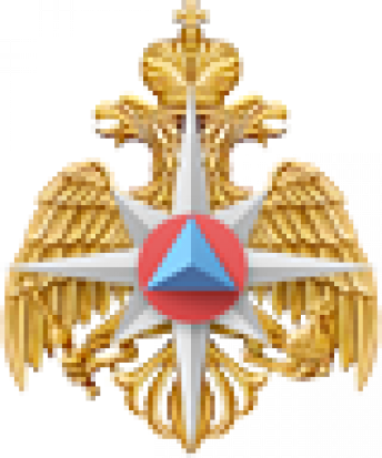 Сотрудник МЧС провел профилактический рейд в Опочецком районе - 2019-06-25 18:21:00 - 1