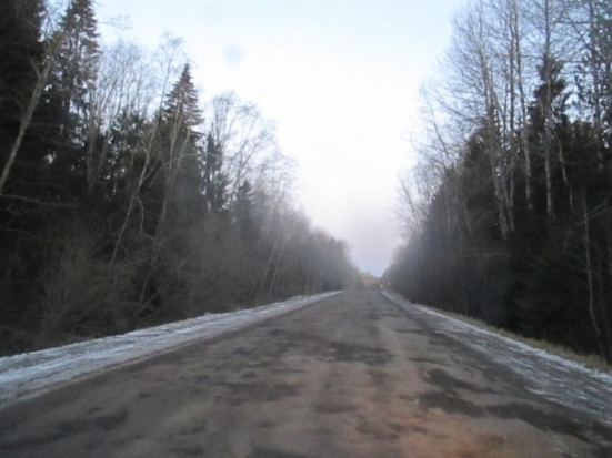 46,2 млн рублей выделено на ремонт участка дороги Струги Красные – Ляды - 2020-02-17 10:48:00 - 1