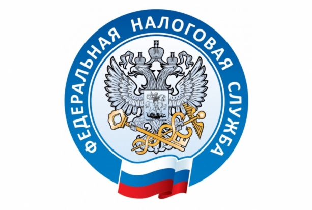 Более 13,5 тысяч обращений направили псковичи в налоговую службу в 2019 году - 2020-01-15 20:13:00 - 1