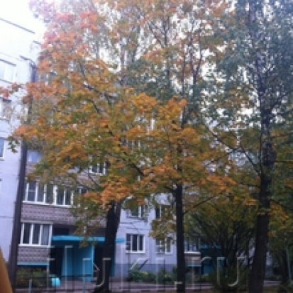 Прогноз погоды на 6 октября - 2016-10-05 21:31:00 - 1