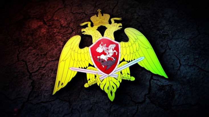 Управление Росгвардии по Псковской области напоминает правила добровольной сдачи оружия за вознаграждение - 2020-01-19 20:57:00 - 1