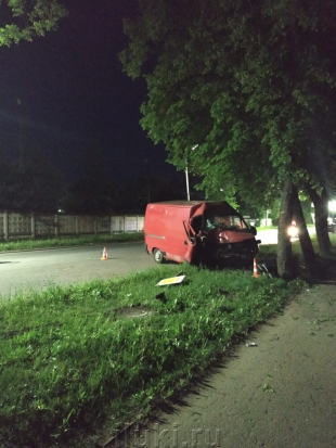 Водитель, в пьяном виде врезавшийся в дерево в Великих Луках, получил уголовное наказание (+ ФОТО) - 2019-08-14 12:14:00 - 1