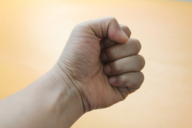 Жительница Новосокольников подозревается в истязании внука - 2020-07-02 08:46:00 - 1