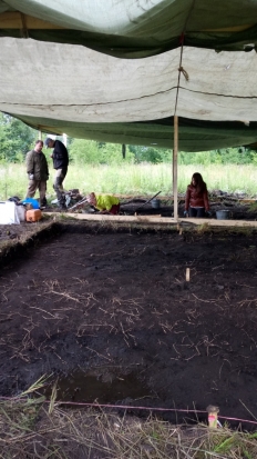 Полевая археологическая школа начала работу в Новосокольническом районе - 2019-07-10 08:34:00 - 1