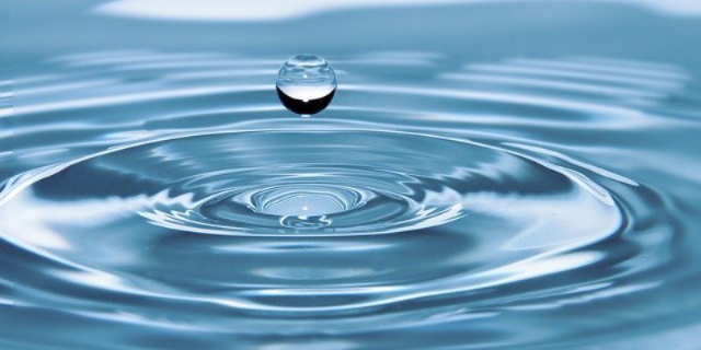 Росводресурсы провели «День бережного отношения к воде» - 2020-12-19 14:00:00 - 1