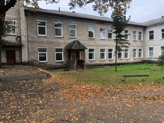 Невельские активисты сражаются за сохранение единственной инфекционной больницы в городе - 2020-10-23 12:00:00 - 1