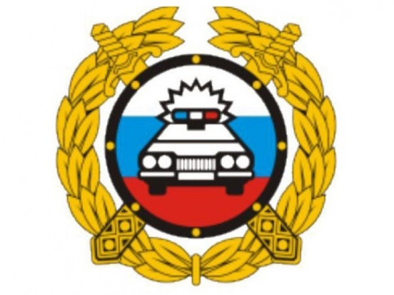 Три дня подряд в Великих Луках будут проходить массовые проверки ГИБДД - 2016-06-10 08:57:00 - 1