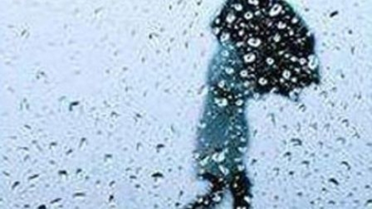 Штормовое предупреждение объявлено в Псковской области - 2016-07-25 11:21:00 - 1