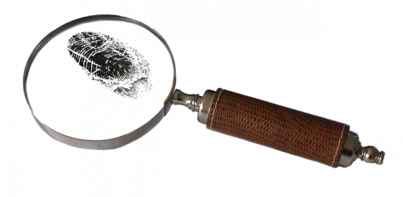 Кража телефона раскрыта в Великих Луках - 2020-05-15 14:43:00 - 1