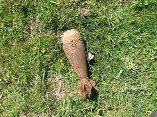 В Невельском районе обезвредили опасные находки времен Великой Отечественной войны - 2020-07-03 12:13:00 - 1