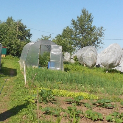 Завтра в Великих Луках днем ожидается до +15°С - 2016-06-08 21:38:00 - 1