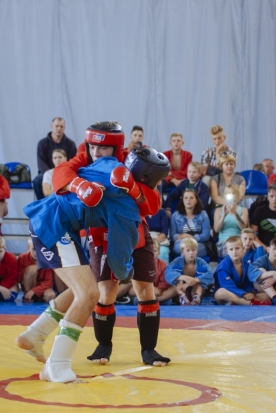 ФОТОрепортаж: турнир по самбо, посвященный жертвам Беслана, прошел в Великих Луках - 2018-09-10 09:45:00 - 1