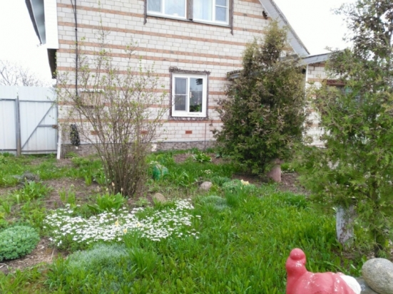 Завтра в Великих Луках днем ожидается до +18°С - 2016-05-12 22:02:00 - 1