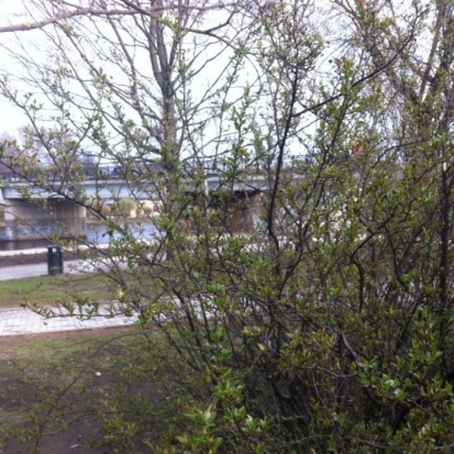 Завтра в Великих Луках днем ожидается до +10°С - 2016-04-23 23:11:00 - 1