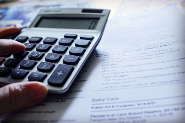 Жительница Дедовичей указала ложные данные, чтобы получить кредит - 2019-11-22 08:58:00 - 1