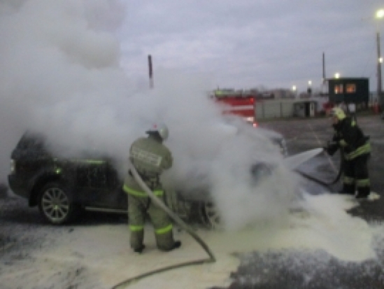 На трассе в Струго-Красненском районе загорелся автомобиль - 2019-08-01 17:20:00 - 1