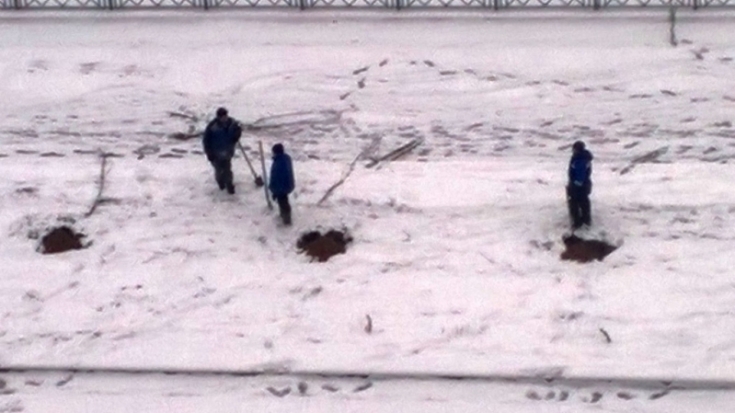 Псков, зима. Время сажать деревья (ФОТО) - 2016-11-03 09:53:00 - 1