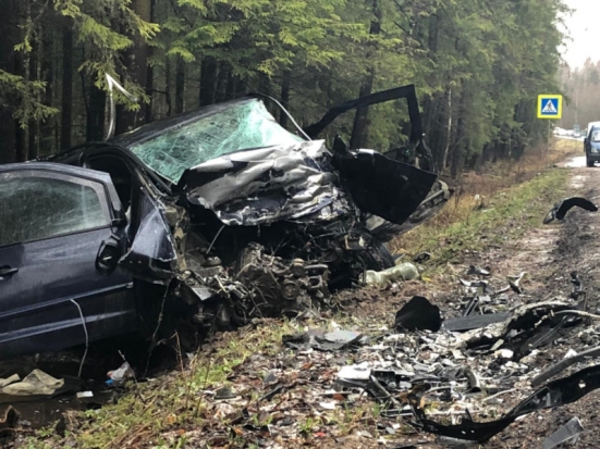 В лобовом столкновении на трассе Псков - Гдов погибли три человека (+фото и видео с места происшествия) - 2020-04-16 10:13:00 - 1
