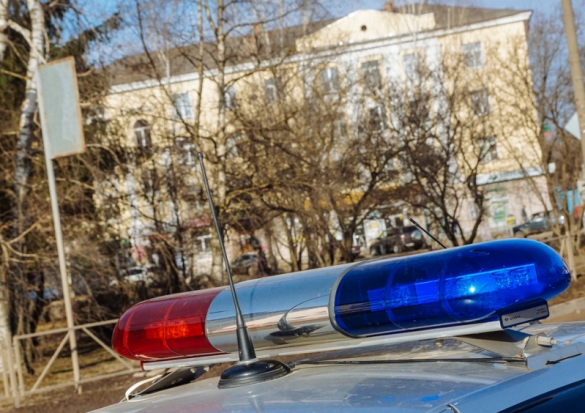 Сотрудники ГИБДД провели занятия по правилам дорожного движения в детском лагере «Космос» - 2019-07-09 21:01:00 - 1