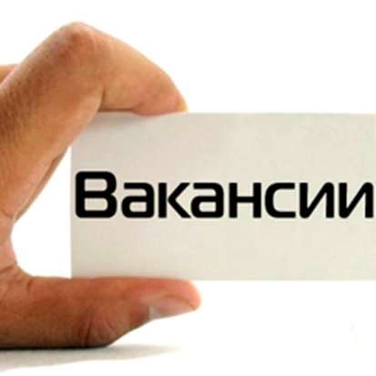 Центр занятости населения провел в Великих Луках мини-ярмарку вакансий - 2018-09-13 07:53:00 - 1