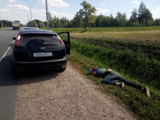 В Великолукском районе полицией изъята крупная партия наркотиков - 2020-08-25 11:27:00 - 1