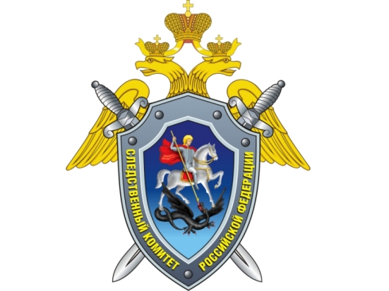 Великолукские следователи выясняют обстоятельства гибели женщины, тело которой обнаружено с признаками насильственной смерти - 2019-10-22 22:25:00 - 1