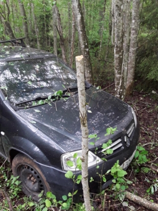 Пенсионер погиб в ДТП в Плюсском районе (ФОТО) - 2020-06-08 14:36:00 - 1
