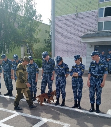 Кинологи Псковской таможни внесли просветительский вклад в дело борьбы с наркотиками - 2019-06-27 06:46:00 - 1