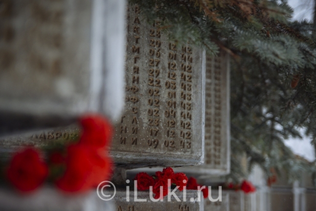 Великая победа — главное событие в истории нашей страны в XX веке - 2020-06-24 14:25:00 - 1