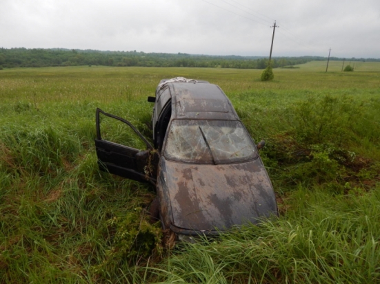 В Дедовичском районе из-за пьяного водителя пострадал 14-летний ребенок (ФОТО) - 2020-06-08 10:08:00 - 1