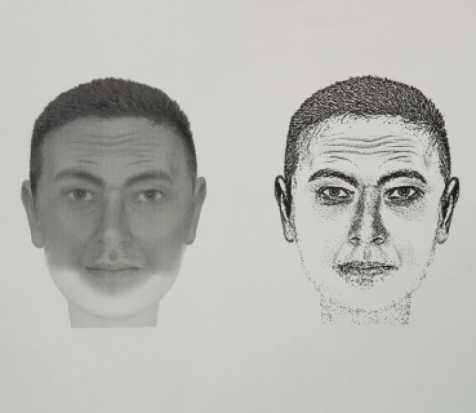 Следователи устанавливают личность мужчины, костные останки которого обнаружены в Куньинском районе - 2020-05-16 19:02:00 - 1