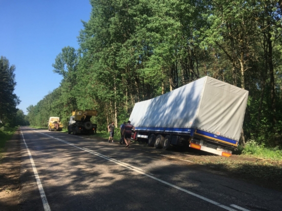 ФОТОфакт: В Великолукском районе большегруз, уворачиваясь от дерева, оказался в кювете - 2020-06-17 19:13:00 - 1