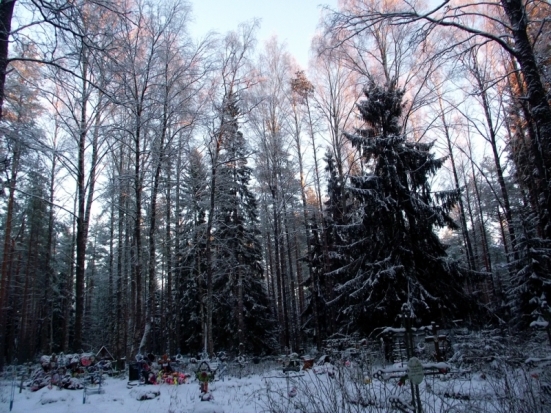 На сельском кладбище в Великолукском районе у неместного бомжа отказало сердце - 2017-01-20 18:13:00 - 1