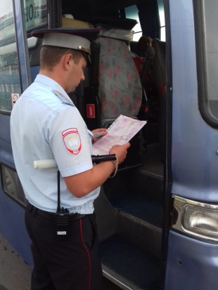 Проверка ГИБДД прошла в Великих Луках (ФОТО) - 2019-09-11 16:52:00 - 1