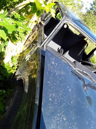 В Плюсском районе пьяный водитель сбил скутериста (ФОТО) - 2020-07-27 09:39:00 - 1