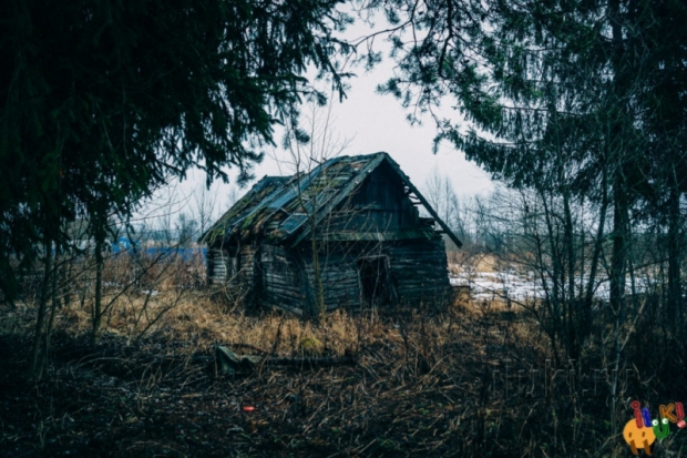 Кадастровая палата по Псковской области рассказывает, какие документы необходимы для оформления в собственность заброшенного земельного участка в дачном поселке - 2020-01-15 12:30:00 - 1