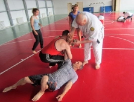 В Великих Луках проведён семинар по рукопашному бою - 2019-07-05 08:34:00 - 1