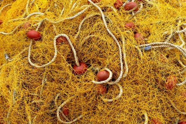 На Псковском озере задержали браконьеров - 2020-02-19 11:38:00 - 1