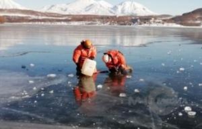 На Халактырском озере в Петропавловске-Камчатском спасли утку из ледяного плена - 2019-02-25 08:46:00 - 1