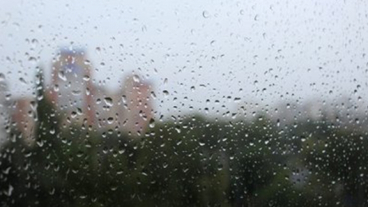 Прогноз погоды на 6 мая в регионе - 2019-05-06 06:02:00 - 1