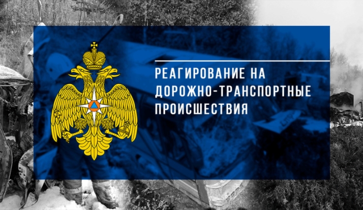 За неделю на дорогах Псковской области погибли 5 человек - 2020-08-20 19:50:00 - 1