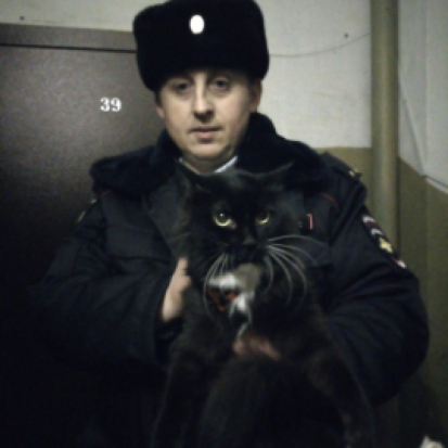 В Североморске полицейские спасли кошку, запертую на балконе - 2020-01-22 10:26:00 - 1