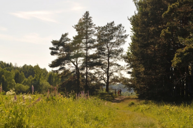 Пушкинский заповедник подготовил программу к акции «Ночь музеев» - 2019-05-06 08:13:00 - 1