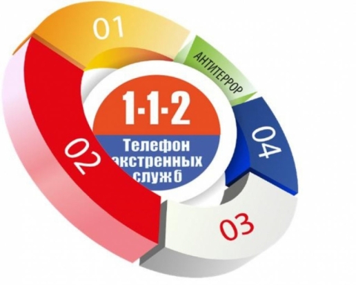 Что нужно сообщить диспетчеру, когда вы позвонили по номеру «112» - 2020-01-30 08:34:00 - 1
