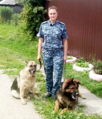 В Островском районе спасли заблудившегося грибника - 2020-07-27 09:36:00 - 1