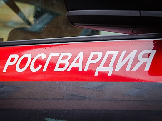 18-летняя псковичка украла спиртные напитки - 2020-01-16 19:08:00 - 1