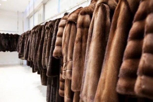 Информация от Роспотребнадзора: Что необходимо знать при покупке меховых изделий - 2019-01-16 08:06:00 - 1